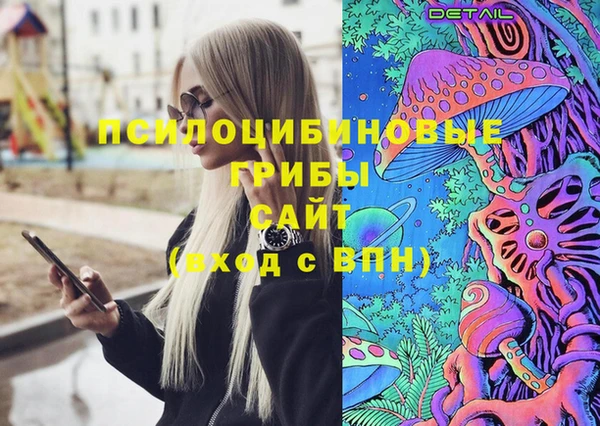 прущий лед Алзамай