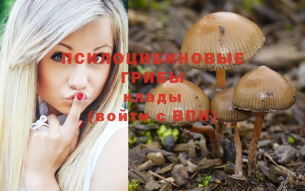 ГАЛЛЮЦИНОГЕННЫЕ ГРИБЫ Алексин