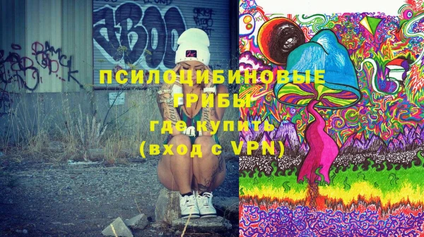 прущий лед Алзамай