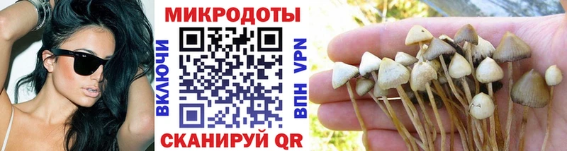 Галлюциногенные грибы GOLDEN TEACHER Похвистнево